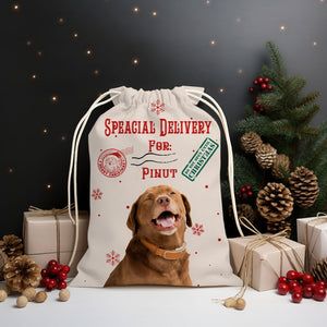 Special Delivery For Pet Lover - Personalized String Bag, Gift For Family, Christmas Gift