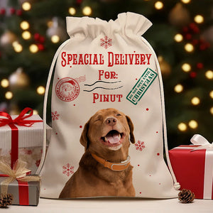 Special Delivery For Pet Lover - Personalized String Bag, Gift For Family, Christmas Gift