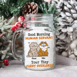 Good Morning  Human Servant, Custom Cats And Names - Personalized Mason Jar Cup With Straw