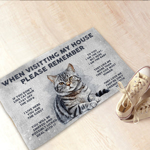 Personalized Welcome To Cat's House Doormat Fall Vibe, Cat Lover Gift