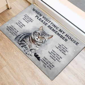 Personalized Welcome To Cat's House Doormat Fall Vibe, Cat Lover Gift